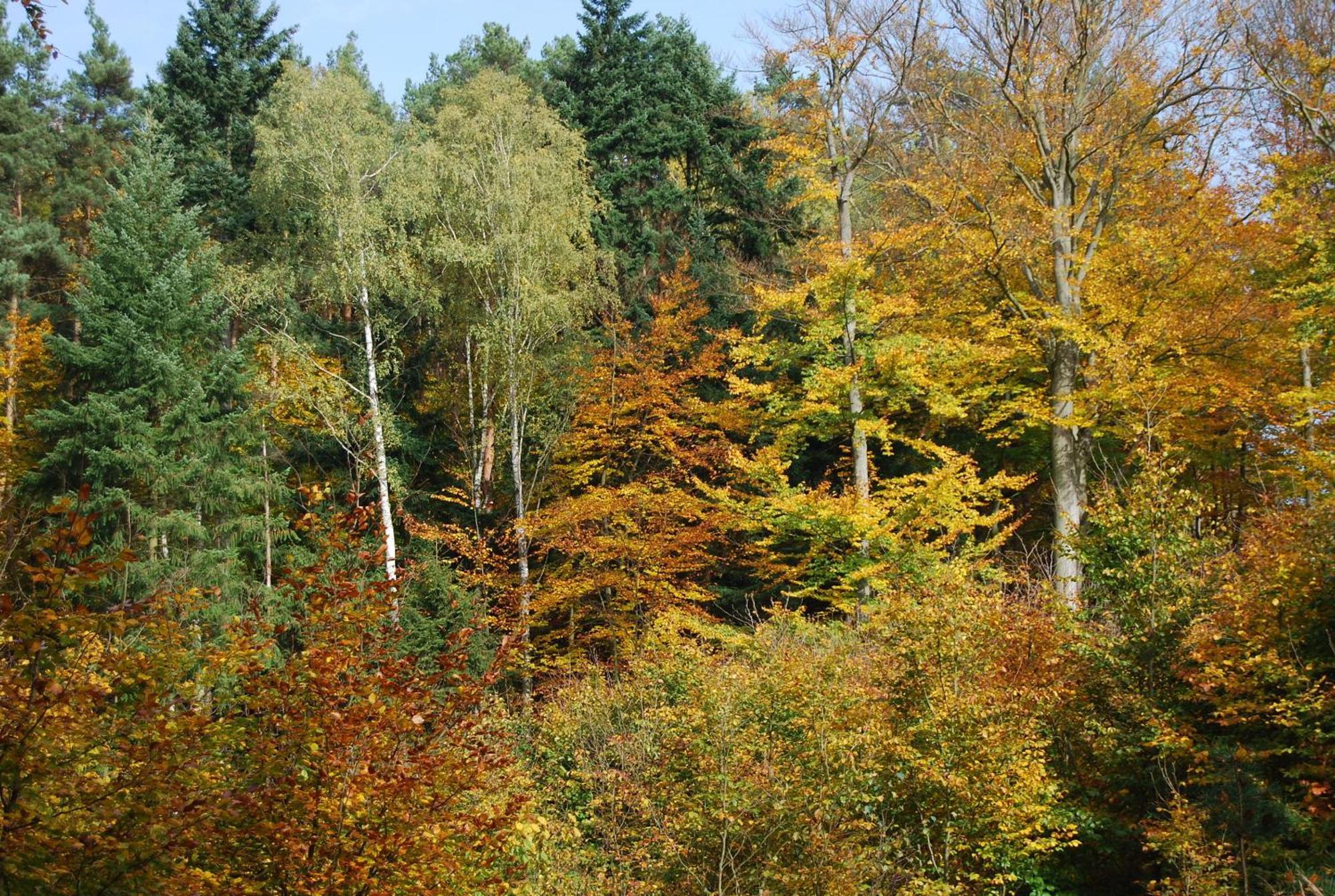 Osrodek Wypoczynkowy Laguna Lubniewice Extérieur photo